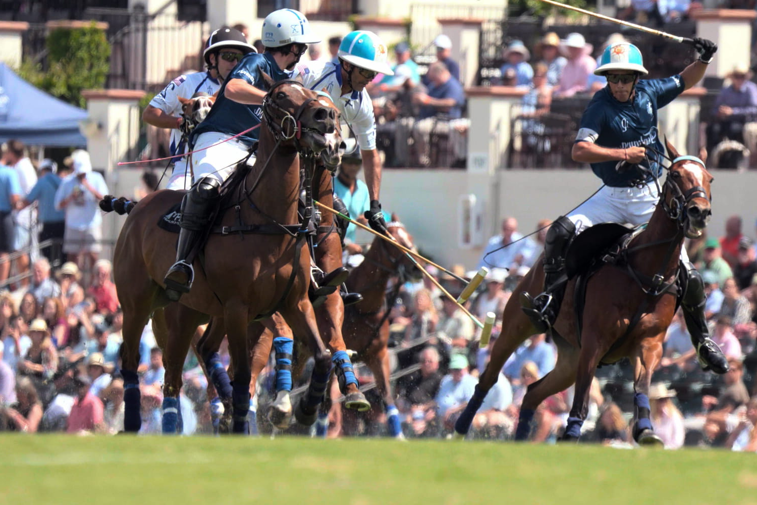 Polo : le documentaire Netflix produit par Meghan et Harry