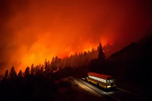 7 Surprising Things The Lost Bus Premiere Revealed About Wildfire Films