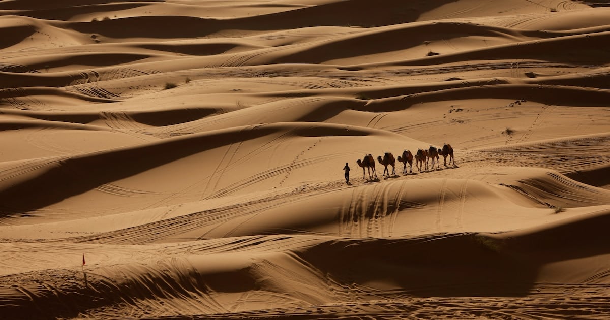 El cambio climático podría transformar el desierto del Sahara con un aumento de lluvias nunca antes visto