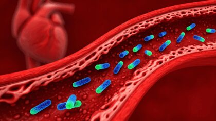 Identifican 15 bacterias vinculadas a una enfermedad de las arterias que aumenta el riesgo de infarto