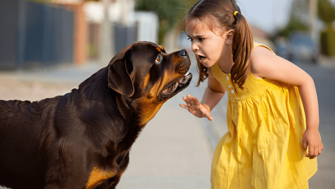 ¿Existen razas de perros peligrosas? La importancia de la tenencia responsable para evitar accidentes