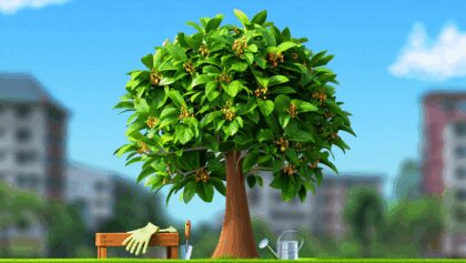 Los mejores trucos para que tu árbol de palta se llene de frutos