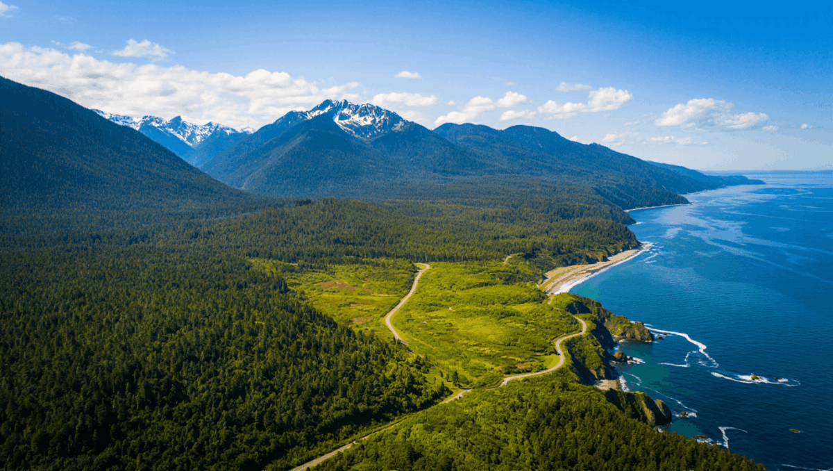 Olympic National Park welcomed 3.6M visitors in 2025, boosting economy